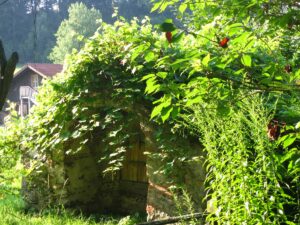 Traditioneller Backofen in Katzbach am 8. August 2014