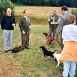 2003-08-30-jagdhundeschau-01