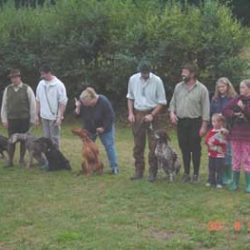 2003-08-30-jagdhundeschau-05