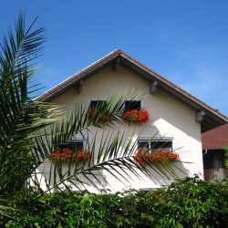 schollerhaus